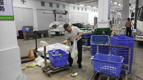 碳中和承诺 碳中和承诺